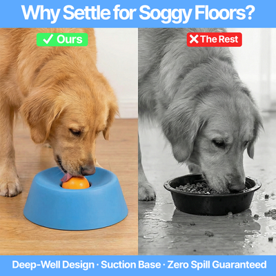 The PawRoller™ Slow Feeding Bowl